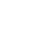 FirstPass icon